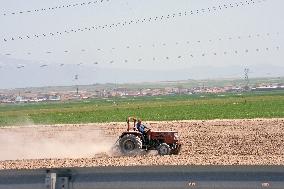 TURKEY-COSTS SOAR-FARMER-HARDSHIPS