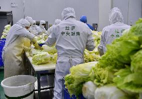 (InTibet) CHINA-TIBET-LHASA-PRIMARY SCHOOLS-NUTRITIOUS MEALS (CN)