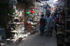 AFGHANISTAN-KABUL-BIRD SHOPS