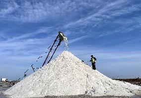 CHINA-SHANDONG-ZHANHUA-SALT-HARVEST (CN)