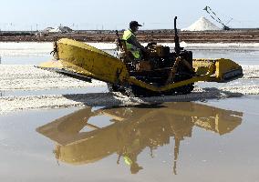 CHINA-SHANDONG-ZHANHUA-SALT-HARVEST (CN)