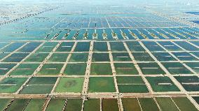 CHINA-SHANDONG-ZHANHUA-SALT-HARVEST (CN)