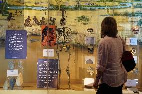 KENYA-NAIROBI-KENYA NATIONAL MUSEUM