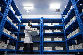 CHINA-HEILONGJIANG-SEED BANK-COLD-REGION CROPS-EXPANSION (CN)