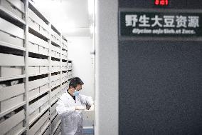 CHINA-HEILONGJIANG-SEED BANK-COLD-REGION CROPS-EXPANSION (CN)