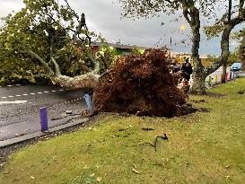 NEW ZEALAND-SEVERE WEATHER-TORNADO