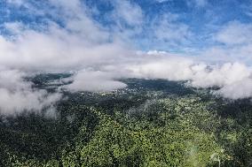 CHINA-HAINAN-TROPICAL RAINFOREST PARK-WUZHISHAN (CN)