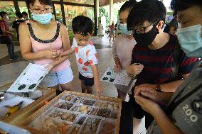 SINGAPORE-BIODIVERSITY-PARK