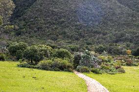 SOUTH AFRICA-CAPE TOWN-BIODIVERSITY