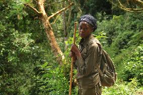 RWANDA-NYUNGWE-NATIONAL PARK-WILDLIFE-PROTECTION