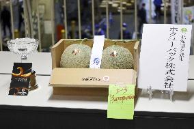 Pair of Hokkaido melons fetch 3 mil. yen at year's 1st auction
