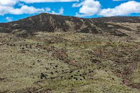 CHINA-TIBET-LHATO WETLAND-AERIAL VIEW (CN)