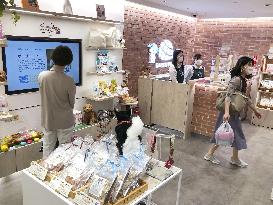 Pet shop opens at Tokyo station underground mall