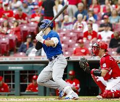 Baseball: Cubs vs. Reds