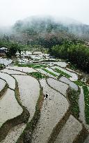 CHINA-HUNAN-ZIQUEJIE TERRACES-LANDSCAPE (CN)