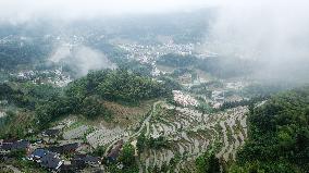 CHINA-HUNAN-ZIQUEJIE TERRACES-LANDSCAPE (CN)