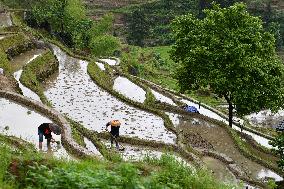 CHINA-HUNAN-ZIQUEJIE TERRACES-LANDSCAPE (CN)