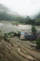 CHINA-HUNAN-ZIQUEJIE TERRACES-LANDSCAPE (CN)