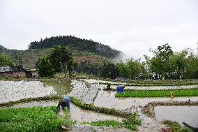 CHINA-HUNAN-ZIQUEJIE TERRACES-LANDSCAPE (CN)