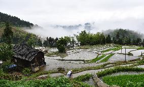 CHINA-HUNAN-ZIQUEJIE TERRACES-LANDSCAPE (CN)