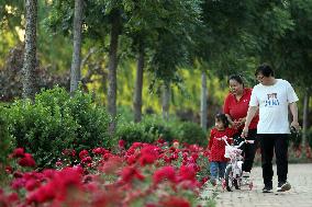 CHINA-HEBEI-WUQIAO-GRAND CANAL (CN)