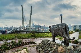 RUSSIA-VLADIVOSTOK-TIGER ELEMENTS