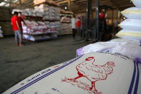 EGYPT-MENOUFIA-ANIMAL FARMING-CHINESE COMPANY-"NEW HOPE"