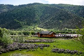 CHINA-YUNNAN-SHANGRI-LA-POTATSO NATIONAL PARK-SCENERY (CN)