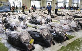 Season's 1st bluefin tuna haul in Tottori