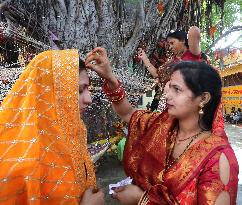 INDIA-BHOPAL-BANYAN TREE WORSHIP FESTIVAL