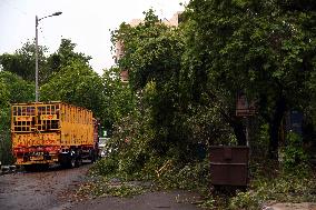 INDIA-NEW DELHI-THUNDERSTORM-UPROOTED TREES