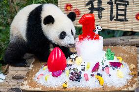 MALAYSIA-KUALA LUMPUR-GIANT PANDA-SHENG YI-BIRTHDAY