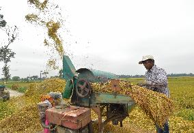 BANGLADESH-NILPHAMARI-CHINESE RICE HYBRIDS