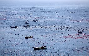 CHINA-LIAONING-CHANGHAI-MARINE RANCH (CN)