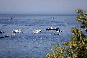 CHINA-LIAONING-CHANGHAI-MARINE RANCH (CN)