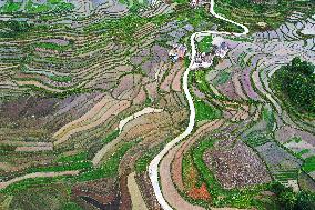 CHINA-GUIZHOU-TERRACE (CN)