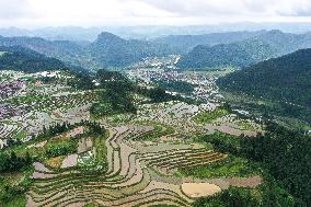 CHINA-GUIZHOU-TERRACE (CN)