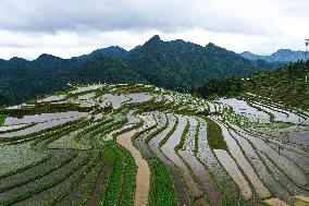 CHINA-GUIZHOU-TERRACE (CN)