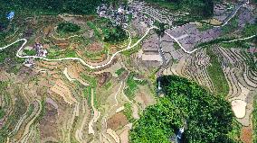 CHINA-GUIZHOU-TERRACE (CN)