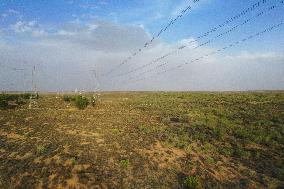 CHINA-NINGXIA-GRASS GRIDS (CN)