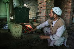 KASHMIR-ROSE FARMING-EXTRACTION OF ROSE OIL