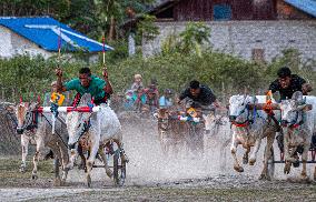 INDONESIA-CENTRAL SULAWESI-TRADITIONAL-COW CART-RACE