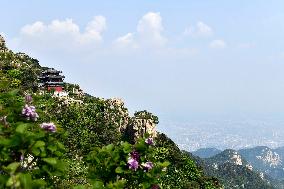 CHINA-SHANDONG-MOUNT TAISHAN-WORLD HERITAGE (CN)