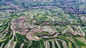 CHINA-GANSU-TIANSHUI-TERRACE(CN)