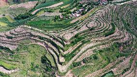 CHINA-GANSU-TIANSHUI-TERRACE(CN)