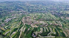 CHINA-GANSU-TIANSHUI-TERRACE(CN)