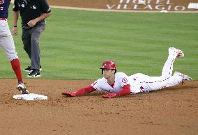 Baseball: Red Sox vs. Angels