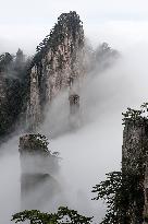 CHINA-ANHUI-MOUNT HUANGSHAN-WORLD HERITAGE (CN)