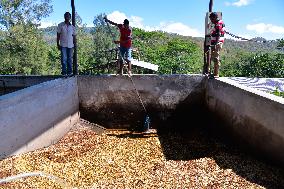 TIMOR-LESTE-DAILY LIFE