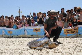 ISRAEL-HADERA-SEA TURTLE RESCUE CENTER